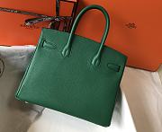 Hermes Birkin 25 Bag Green Togo Gold 25cm - 4