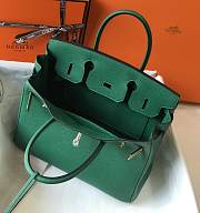 Hermes Birkin 25 Bag Green Togo Gold 25cm - 2