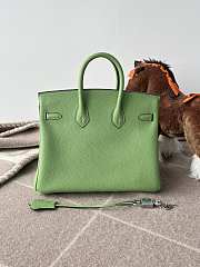 Hermes Birkin 25 Bag Light Green Silver 25cm - 6