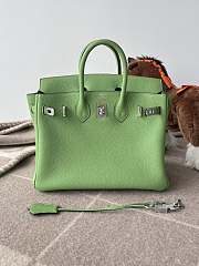 Hermes Birkin 25 Bag Light Green Silver 25cm - 3