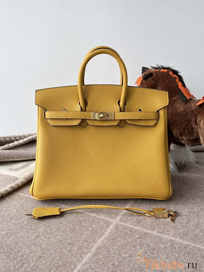 Hermes Birkin 25 Bag Yellow Togo Gold 25cm - 1