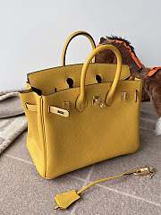 Hermes Birkin 25 Bag Yellow Togo Gold 25cm - 3