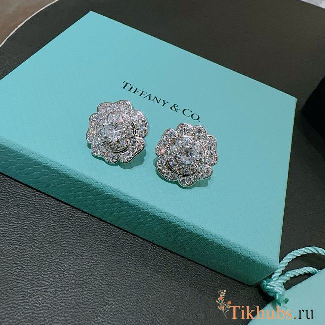 Tiffany Co Earrings  - 1
