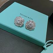 Tiffany Co Earrings  - 1