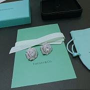 Tiffany Co Earrings  - 2