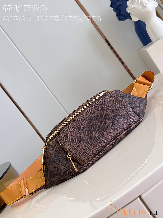 Louis Vuitton LV Rush Bumbag Monogram Dust 30 x 15 x 8 cm - 1