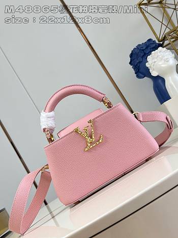 Louis Vuitton LV Capucines East-West Mini Pink 22 x 12 x 8 cm