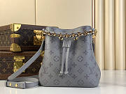 Louis Vuitton LV Néonoé BB Trianon Gray 20 x 20 x 13 cm - 1