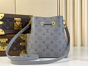 Louis Vuitton LV Néonoé BB Trianon Gray 20 x 20 x 13 cm - 4