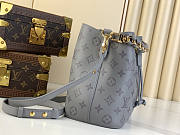 Louis Vuitton LV Néonoé BB Trianon Gray 20 x 20 x 13 cm - 2