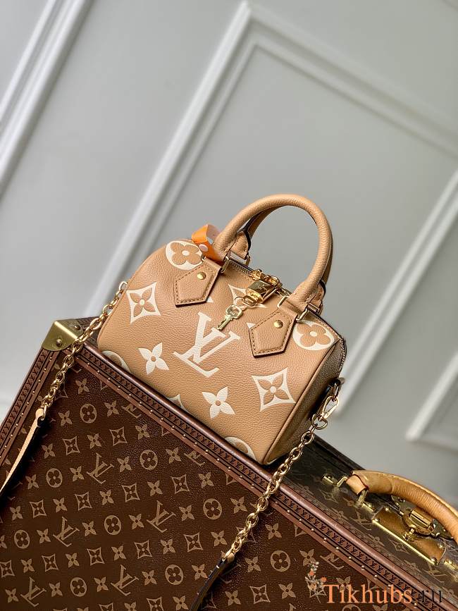 Louis Vuitton LV Speedy 20 Arizona 20.5 x 13.5 x 12 cm - 1