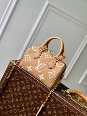 Louis Vuitton LV Speedy 20 Arizona 20.5 x 13.5 x 12 cm - 3