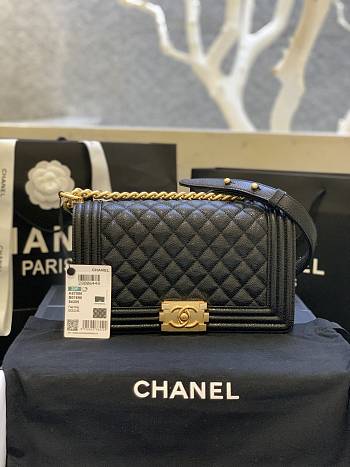 Chanel Leboy Calfskin Bag in Black 67086 Gold