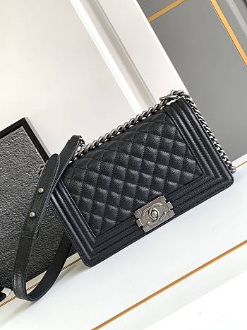 Chanel Leboy Bag Black Caviar Silver 25cm