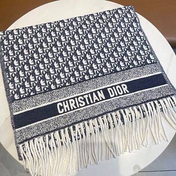 Dior Scarf 05