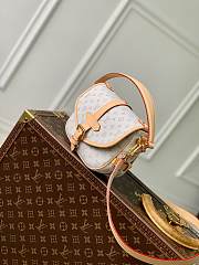 Louis Vuitton LV Saumur BB Mastic 20 x 16 x 7.5 cm - 2