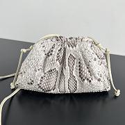 Bottega Veneta Pouch Snake Bag 22x13x5cm - 1