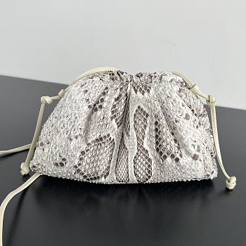 Bottega Veneta Pouch Snake Bag 22x13x5cm