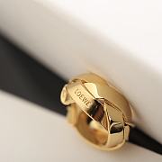Loewe Earrings 01 - 3