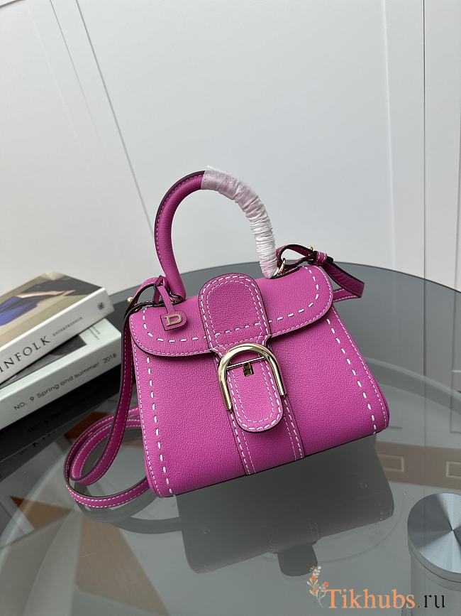 Delvaux Brillant Mini Whole-Grain Leather Pink 20x12x15cm - 1