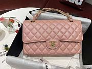 Chanel Flap Bag Iridescent Pink Gold 25cm - 1