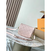 Louis Vuitton LV Mini Bumbag Pink 17x12x9.5cm - 5