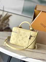 Louis Vuitton LV Vanity Chain Pouch Yellow 19 x 11.5 x 6.5 cm - 6