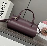 Loewe Small Clasp Bag Silk Calfskin Wine 25x13x15cm - 5