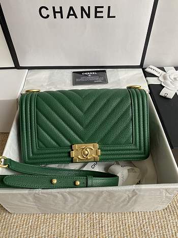 Chanel Leboy Bag Green Caviar Chevron Gold 25cm