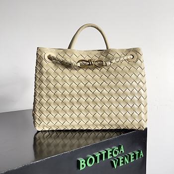 Bottega Veneta Medium Andiamo Beige 32.5x24x12cm