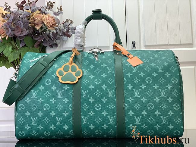 Louis Vuitton LV Keepall 50 Green 50 x 29 x 23 cm  - 1