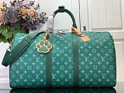 Louis Vuitton LV Keepall 50 Green 50 x 29 x 23 cm  - 1