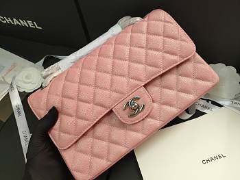 Chanel Flap Bag Iridescent Pink Silver 25cm