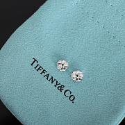 Tiffany Co Earrings 02 - 2