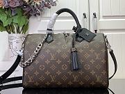 Louis Vuitton LV Speedy Soft 30 Dark Black Monogram 30x21x17cm - 1