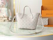 Louis Vuitton LV Blossom PM Grey 20x20x12.5 cm - 2