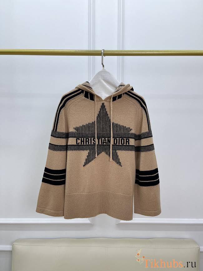 Dior DiorAlps Sleeve Hooded Sweater - 1