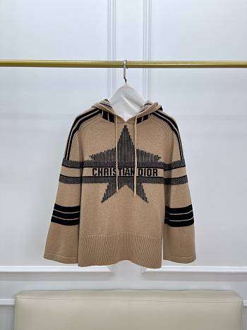 Dior DiorAlps Sleeve Hooded Sweater