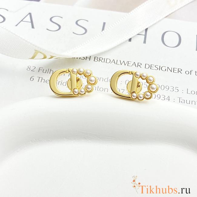 Dior Earrings 12 - 1