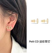 Dior Earrings 12 - 4