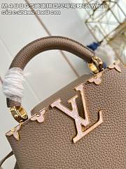 Louis Vuitton LV Mini Capucines Grey Bag 21x14x8cm - 2