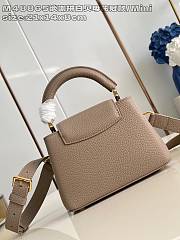 Louis Vuitton LV Mini Capucines Grey Bag 21x14x8cm - 3