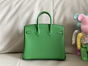 Hermes Birkin 25 Bag Green Togo Silver 25cm - 5