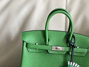 Hermes Birkin 25 Bag Green Togo Silver 25cm - 4