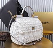 Dolce Gabbana Sicily Crocheted Raffia Bag 20x16x8cm - 2