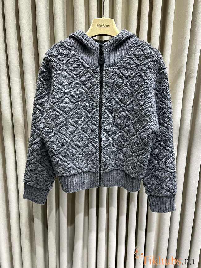Louis Vuitton LV Monogram Toweling Hoodie  - 1