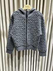 Louis Vuitton LV Monogram Toweling Hoodie  - 1