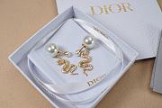 Dior Earrings 16 - 3