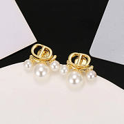 Dior Earrings 17 - 4