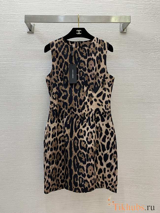 Dolce Gabbana Short Leopard-print Dress - 1